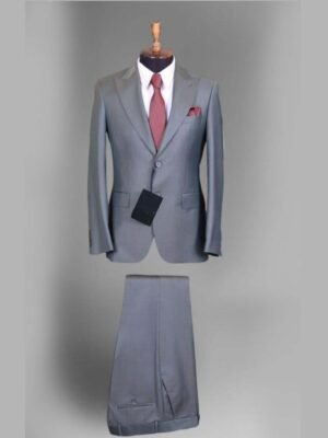 Royal Sleek, Stylish Grey Suit